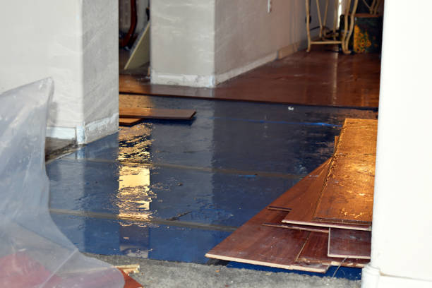 Professional Burst Pipe Cleanup technician working in Corbett, OR